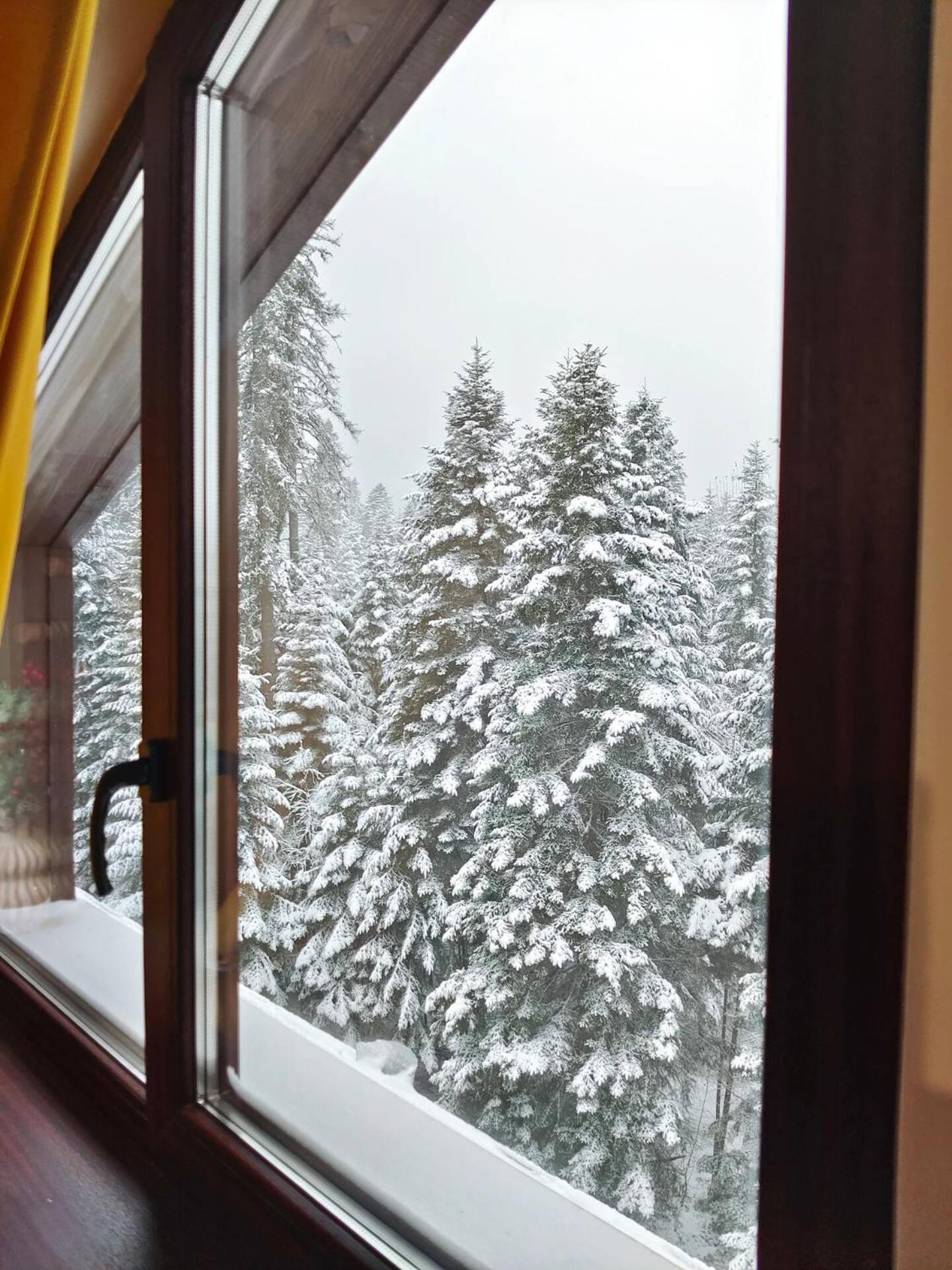Borovets Dream Studio Eksteriør bilde